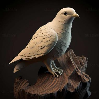 3D модель Columba albinucha (STL)